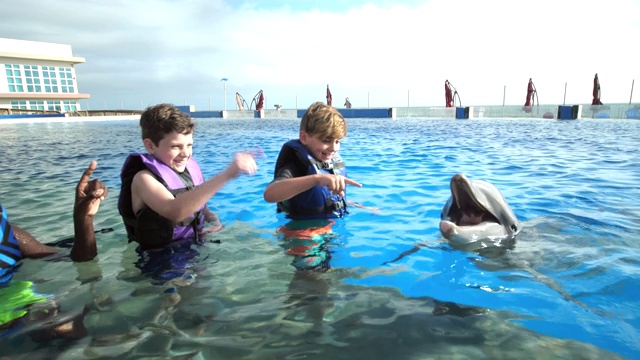 男孩和教练在水中给海豚手势视频下载
