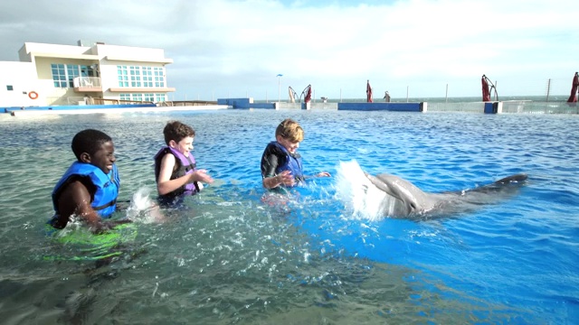 男孩和教练在水中与海豚，溅水视频下载