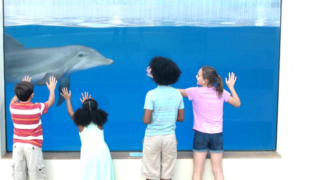 四个孩子在水族馆看水下的海豚视频下载