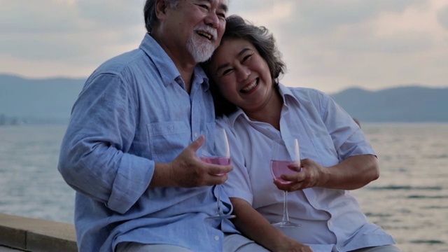 快乐的老年夫妇在夏天的海滩上野餐和碰杯。一对老年夫妇在阳光明媚的日子里在海边放松。高级假期,假期视频素材