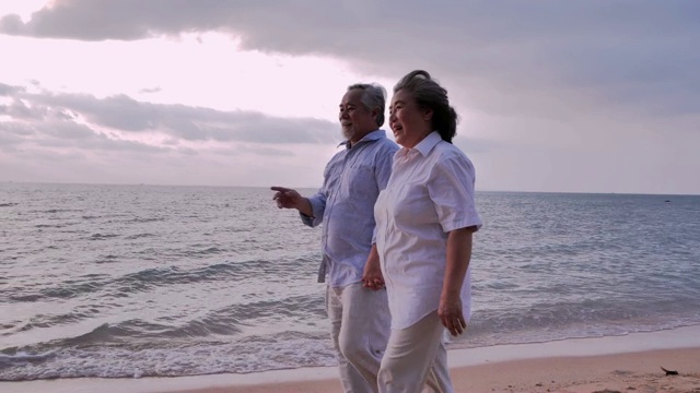 一对老年夫妇在沙滩上散步，一对老年夫妇在阳光明媚的日子里在海边放松。高级假期,假期视频下载