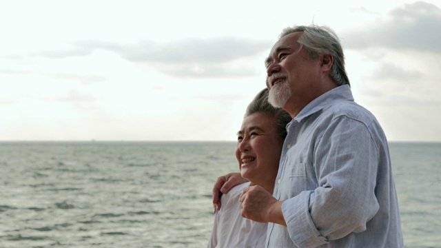 一对老年夫妇在海上看日落。在阳光明媚的日子里，一对老年夫妇在海边放松视频素材