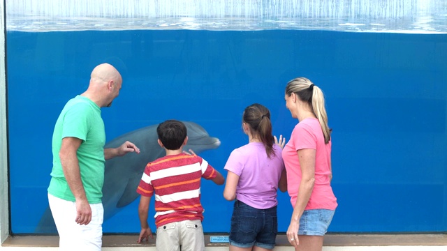 一家人在水族馆看水下海豚视频下载