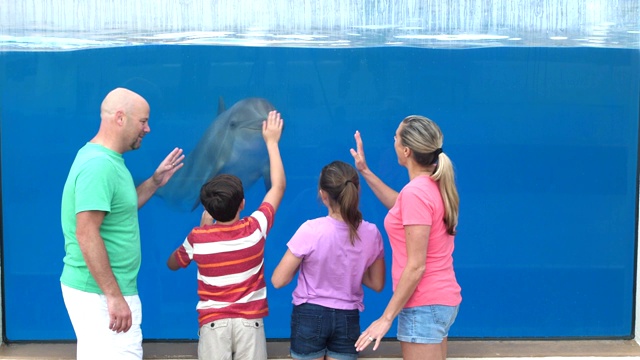 一家人在水族馆看水下的海豚视频下载
