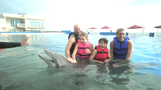 家庭和教练在水中与海豚视频下载