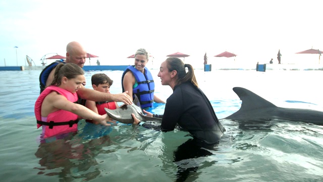 家人和驯兽师在水中与海豚，爱抚尾巴视频下载