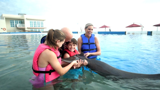 家庭和驯兽师在水中与海豚，抱着尾巴视频下载