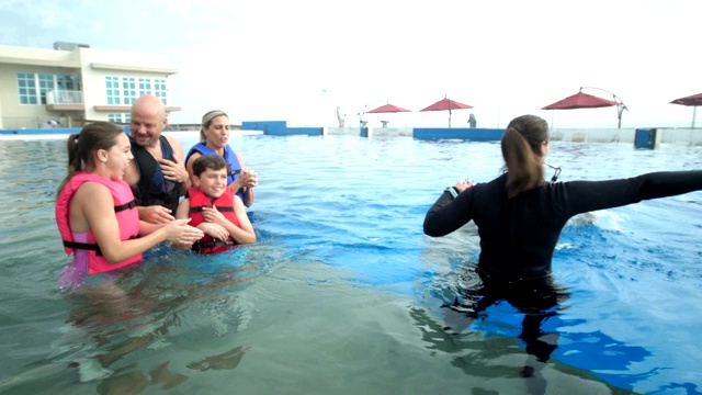 家人和教练与海豚在水中挥手视频下载