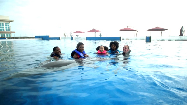家庭和教练在水中与海豚视频下载
