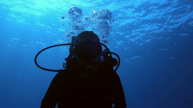 水下:潜水员在美丽的蓝色的水视频下载