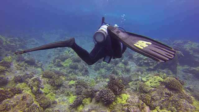 水下:水肺潜水员游泳在惊人的珊瑚礁视频下载