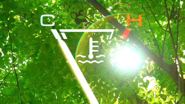 绿色森林与温度计- H到C视频下载