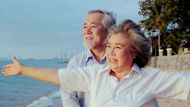 年长的亚洲夫妇站在海滩上，心情愉快。有生活方式、情感和退休观念的人。视频下载