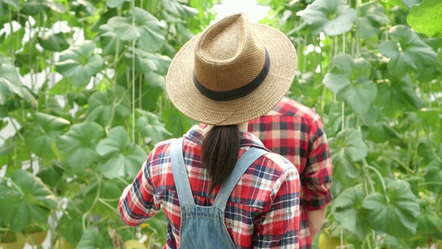 一对年轻的农民在散步，检查他们的农场温室。亚洲男人和女人一起在农村工作。视频素材
