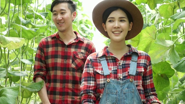 一对年轻的农民在散步，检查他们的农场温室。亚洲男人和女人一起在农村工作。视频素材