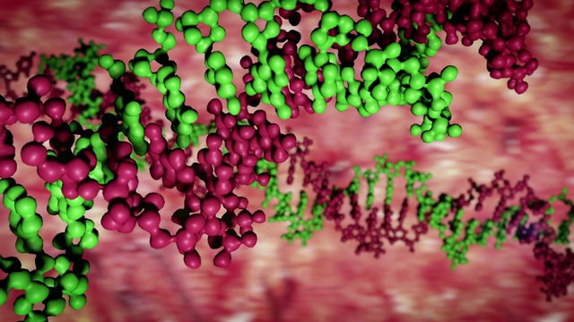 DNA分子模型视频素材