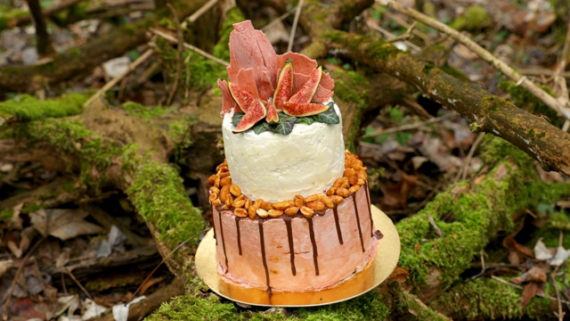 婚礼蛋糕上有两层，浅奶油和新鲜水果，在仪式前装饰好，放在森林中央的树干上，树干上覆盖着一层黑色的苔藓视频素材