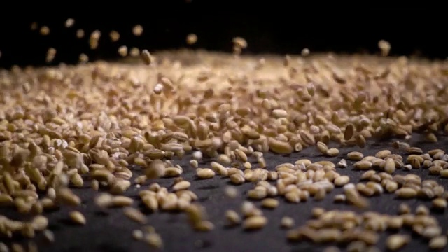 一堆全粒珍珠大麦或小麦，在黑色的背景下从上方落下。农业特写宏观粮食原料种子。视频下载