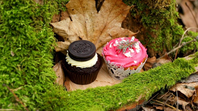 纸杯蛋糕蛋糕在森林中央的苔藓上有一个黑色的奶油饼干和粉色的婚礼蛋糕视频素材