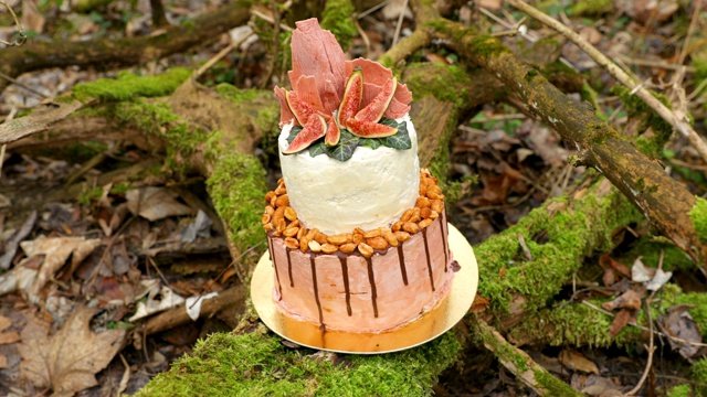婚礼蛋糕上有两层，浅奶油和新鲜水果，在仪式前装饰好，放在森林中央的树干上，树干上覆盖着一层黑色的苔藓视频素材