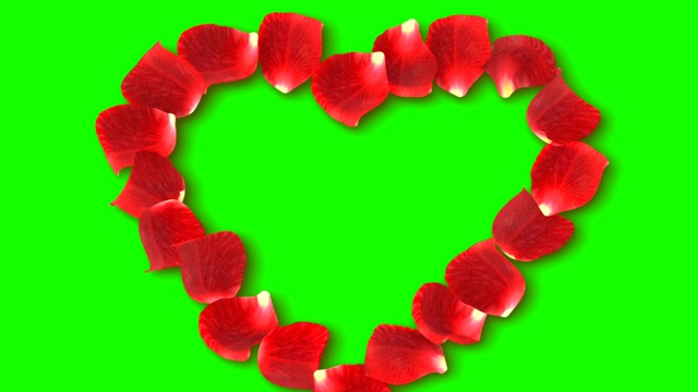 红玫瑰花瓣的飞舞构成红心的花瓣在色度键，绿色的屏幕背景，爱情，关系和情人节视频素材