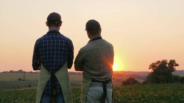 两个农民——父亲和儿子站在田地里，遥望远方。后视图视频素材