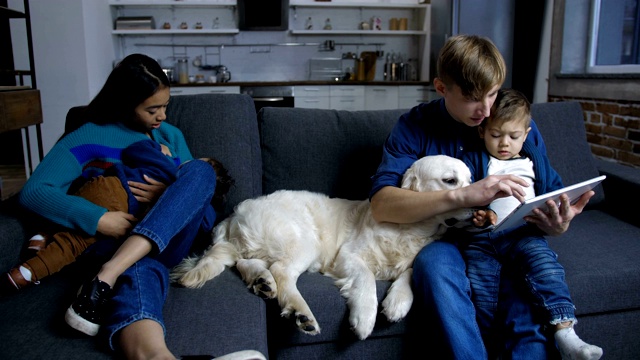 不同的家庭与拉布拉多狗放松在家里视频下载