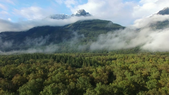 航拍:茂密的绿色森林，背景是浓雾覆盖的山脉视频下载