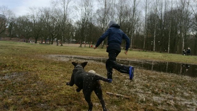 快乐的男孩和可爱的小狗在公园里一起踢足球视频素材