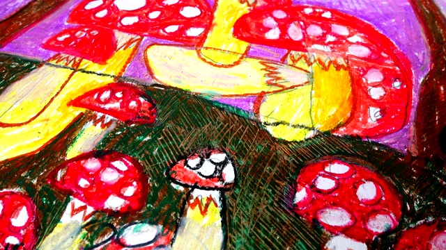 篮子里的蘑菇，图画。视频下载