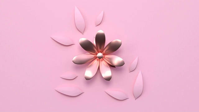 最小抽象运动动画金属玫瑰金形状3d渲染粉色场景平铺花圣诞假期概念视频素材