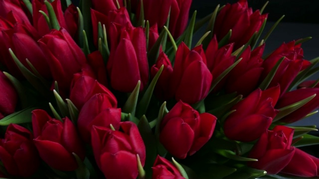 一束美丽的红玫瑰花蕾视频素材