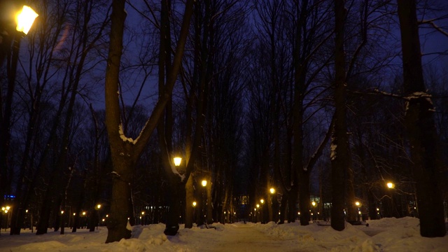 在白雪覆盖的公园的小巷里走动视频素材