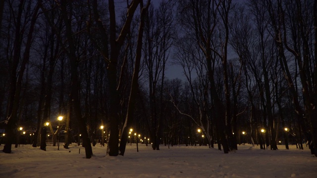 在白雪覆盖的公园的小巷里走动视频素材