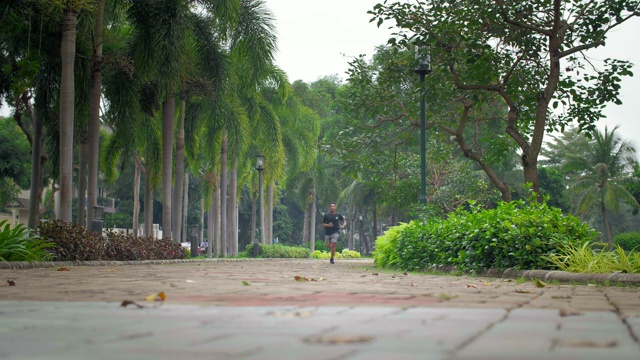 亚洲男子在公园慢跑视频下载