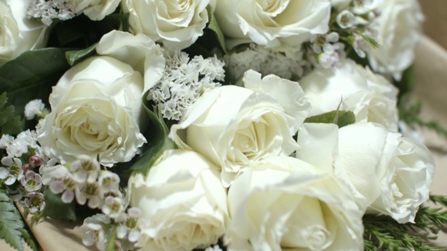 特写白玫瑰花束。爱的概念视频下载
