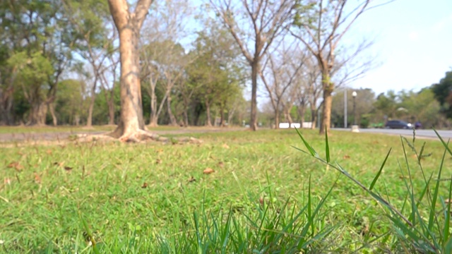 慢动作水滴管-水龙头在公园视频素材