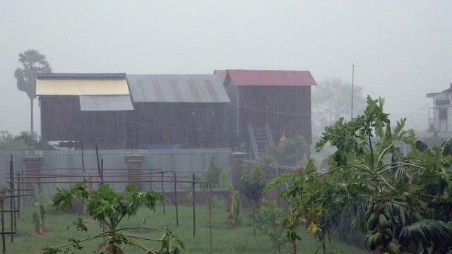 大雨在小热带花园和木制棚屋为背景视频素材