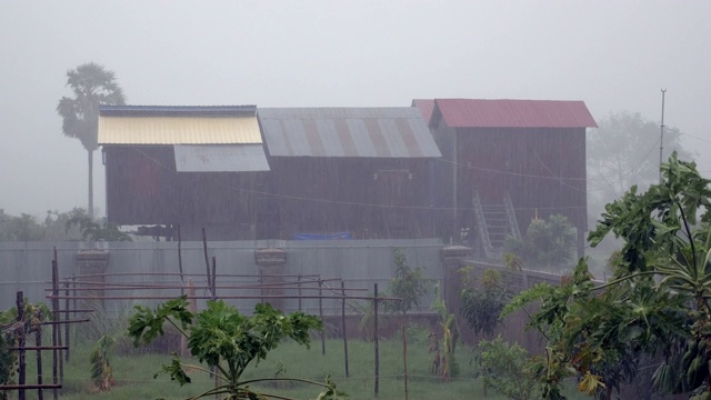 大雨在小热带花园和木制棚屋为背景视频素材