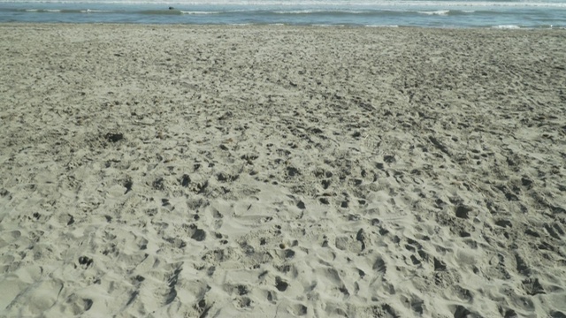 巴伦西亚海滩全景-普拉亚巴伦西亚-倾斜从沙子揭示一个美丽的阳光天的大海-概念放松假日在空旷的海滩视频下载