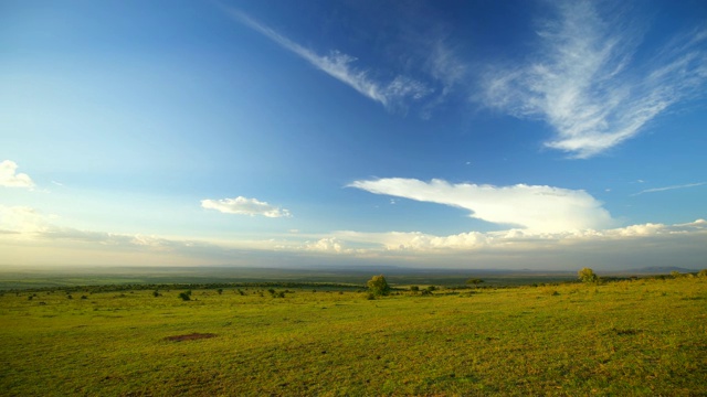 马赛马拉国家公园的一段多彩的日落时光。肯尼亚,非洲视频下载