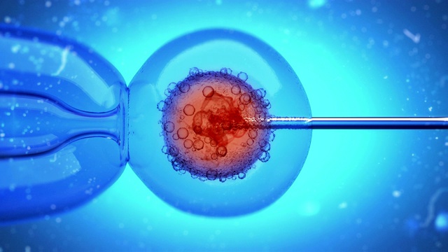 一个充满DNA的液体被注入卵细胞细胞核的3D动画视频下载