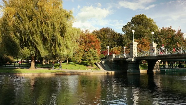 美国马萨诸塞州波士顿市的波士顿公共花园视频下载
