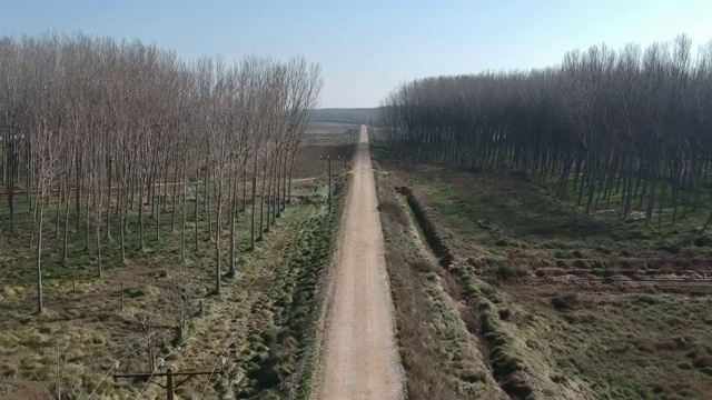 在Aragón一条孤独的土路视频下载