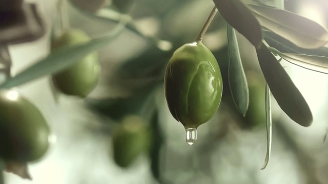 橄榄油从橄榄上滴下来视频下载