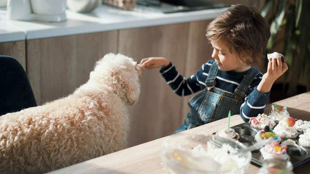 可爱的男孩和他的宠物分享他的饼干视频下载