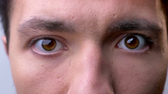 特写白种人男性棕色眼睛直视着相机与中性的面部表情视频下载