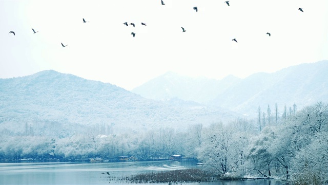 杭州的风景视频下载