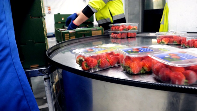 市场和超市草莓包装生产线。视频素材