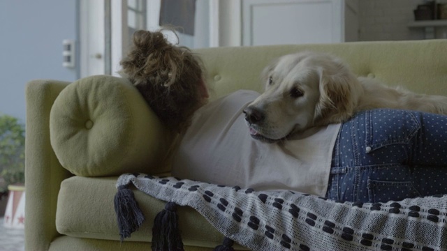 金毛猎犬和女孩在沙发上休息视频下载
